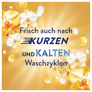 Weichspüler Goldene Orchidee 87WL Lenor
