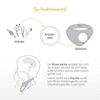 Löwenpads Harmonie, Nachfüllpack Löwenkind