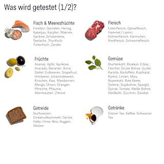 Food Reaction Test Lykon