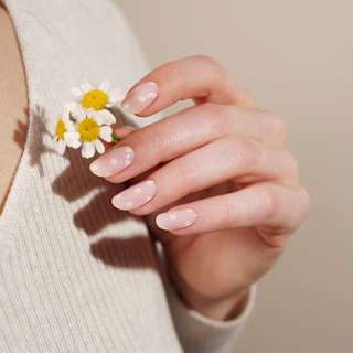 Starterset UV Gel Nagelfolien Daisies Maniko
