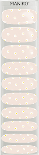 Starterset UV Gel Nagelfolien Daisies Maniko