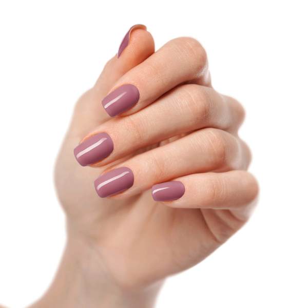 Starterset UV Gel Nagelfolien Vintage Velvet Maniko