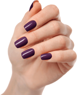 UV Gel Nagelfolien Eggplant Maniko