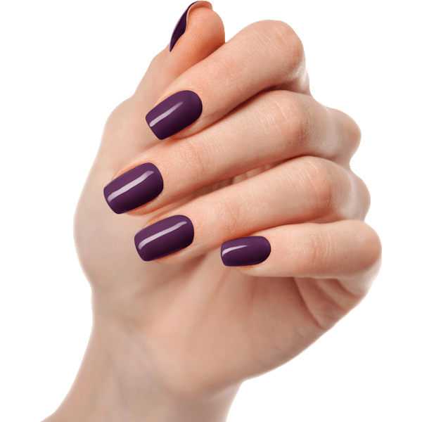 UV Gel Nagelfolien Eggplant Maniko