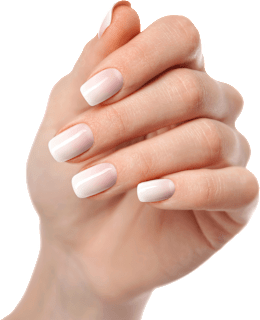 UV Gel Nagelfolien Natural Babyboomer Maniko