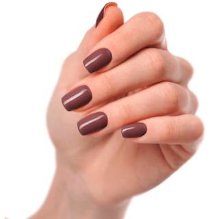 UV Gel Nagelfolien Roasted Plum Maniko