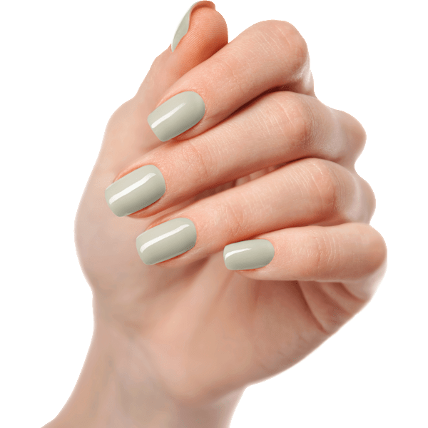 UV Gel Nagelfolien Sage Maniko