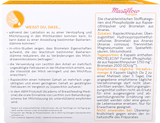 Mastiflow complex Kapseln 30 St Mastiflow