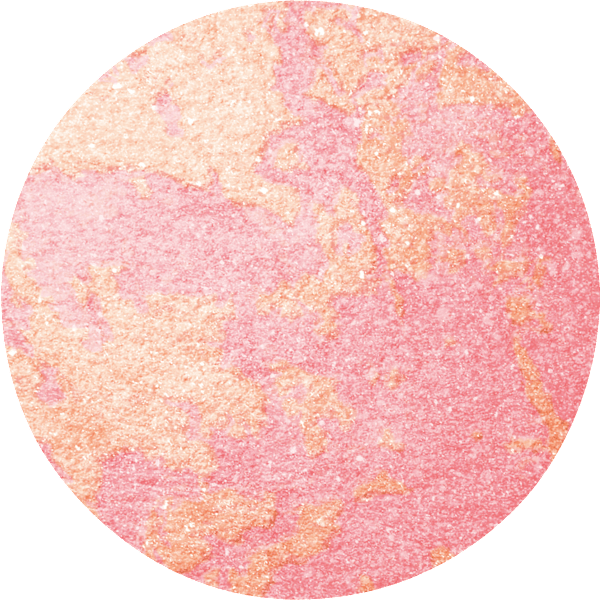 Blush Facefinity 05 Lovely Pink MAX FACTOR