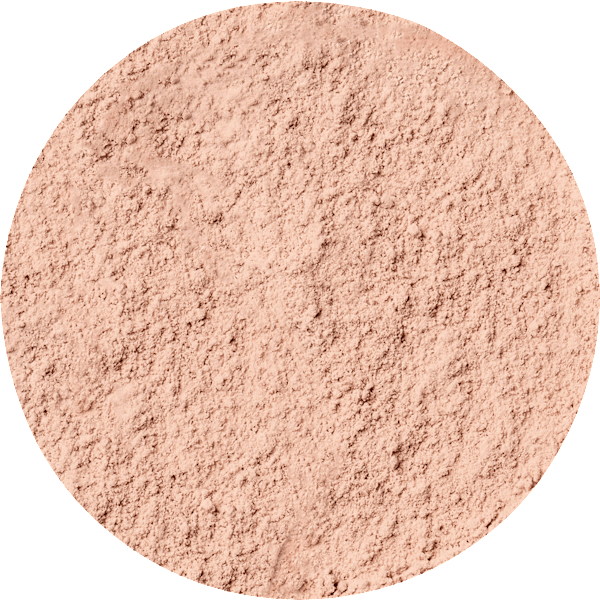 Loses Puder Ellen Betrix 1 Transparent Natural MAX FACTOR