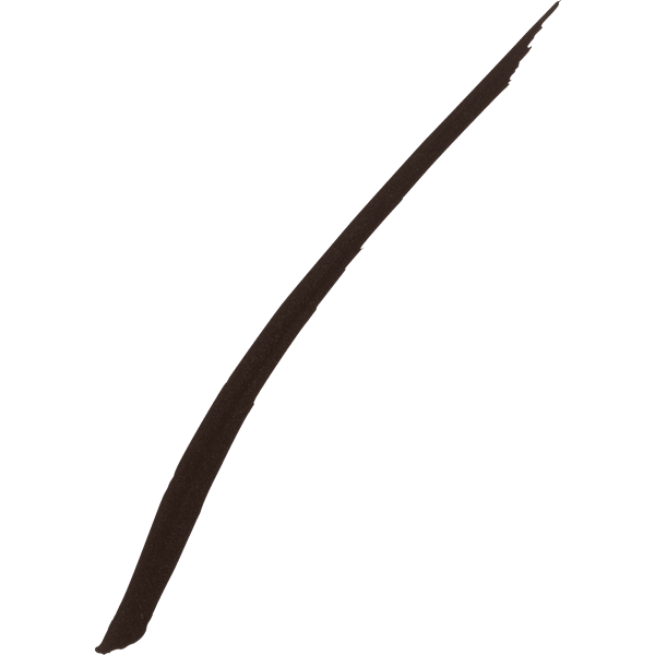 Eyeliner Hyper Precise Allday Forest Brown MAYBELLINE NEW YORK
