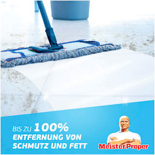 Allzweckreiniger Frühlingserwachen Meister Proper