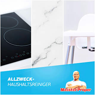 Allzweckreiniger Spray Antibakteriell  Meister Proper