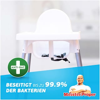 Allzweckreiniger Spray Antibakteriell  Meister Proper