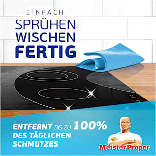 Allzweckreiniger Spray Antibakteriell  Meister Proper