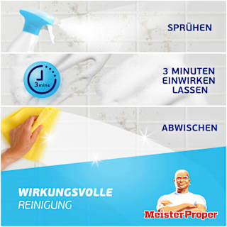 Badreiniger Spray Meister Proper
