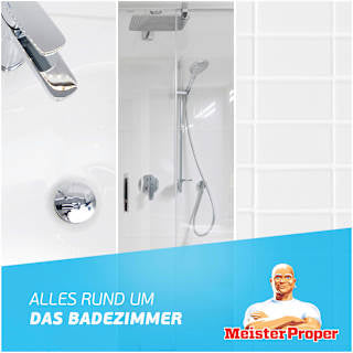 Badreiniger Spray Meister Proper