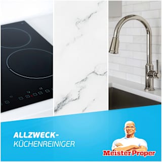 Küchenreiniger Fettentferner Orange Meister Proper