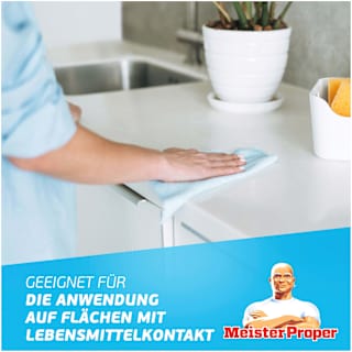 Küchenreiniger Fettentferner Orange Meister Proper