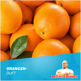 Küchenreiniger Fettentferner Orange Meister Proper