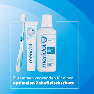 Zahnbürste Zahnfleischschutz sanft (Doppelpack) meridol