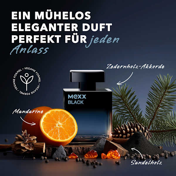 Black Man Eau de Toilette  Mexx