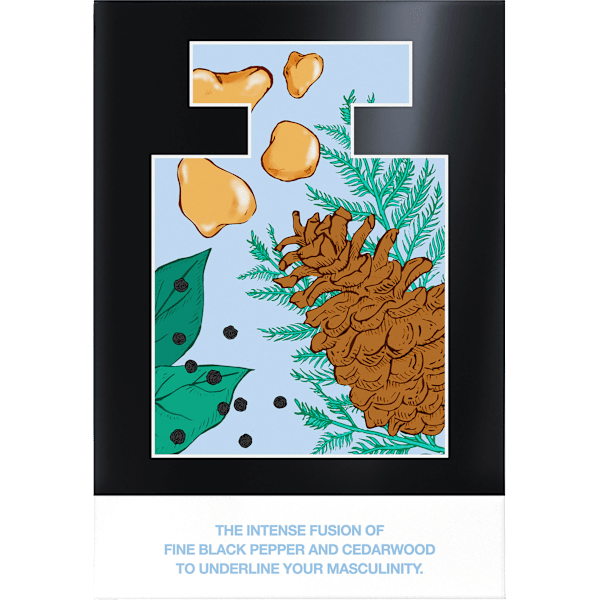 Black Man Eau de Toilette Mexx