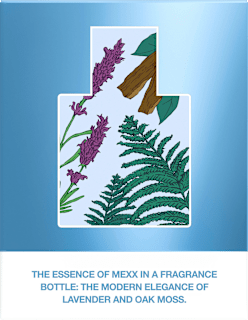 Man Eau de Toilette Mexx