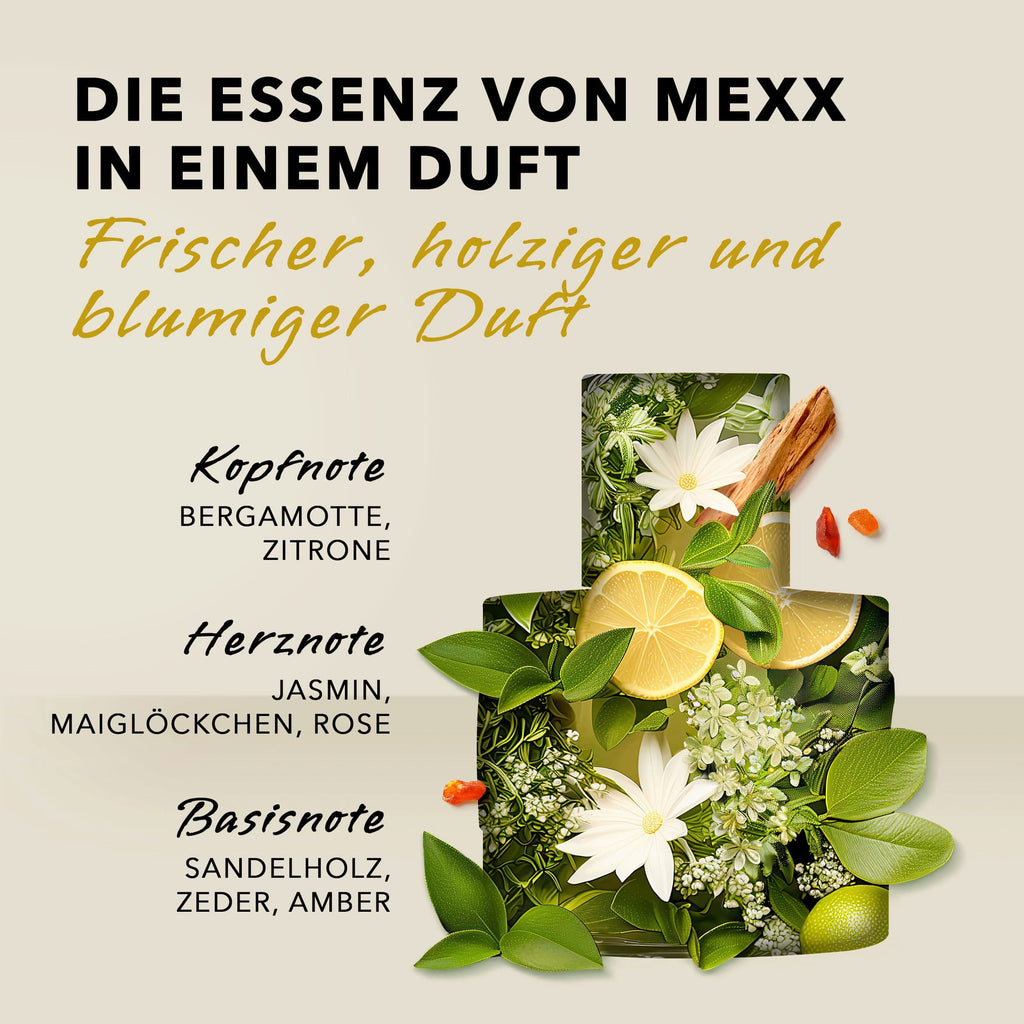 Mexx None Media 10