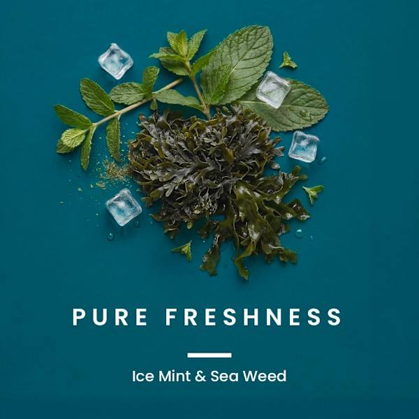 Duschgel Pure Freshness 3in1 MODULE