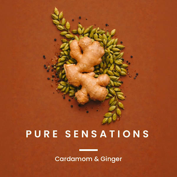 Duschgel Pure Sensations 3in1 MODULE