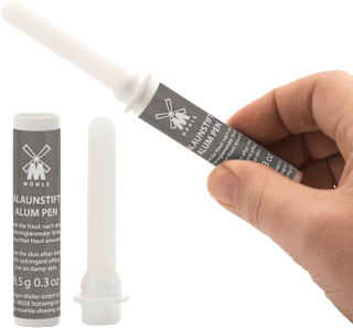 Alaunstift Mühle