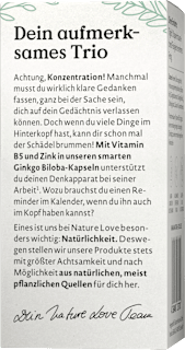 Ginkgo Biloba Kapseln Nature Love