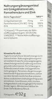 Ginkgo Biloba Kapseln Nature Love