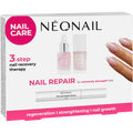 Nagelpflegeset Regeneration NÉONAIL