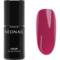 UV Nagellack Bold Orchid NÉONAIL