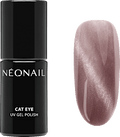 UV Nagellack Cat Eye Glimmering Blush NÉONAIL