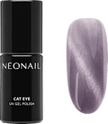 UV Nagellack Cat Eye Lavender Rise NÉONAIL