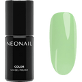 UV Nagellack Eternal Fantasies NÉONAIL