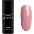 UV Nagellack Mulled Wine NÉONAIL
