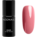 UV Nagellack Nude NÉONAIL