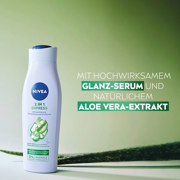 Shampoo & Conditioner Express 2in1 NIVEA