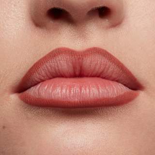 Lipliner Line Loud 06 Ambition Statement  NYX PROFESSIONAL MAKEUP