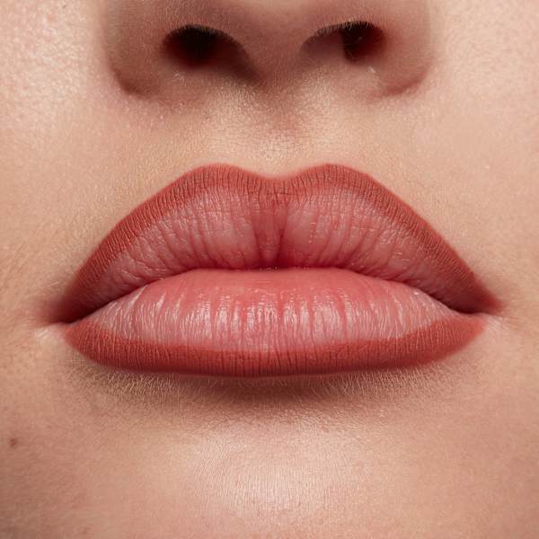 Lipliner Line Loud 06 Ambition Statement  NYX PROFESSIONAL MAKEUP