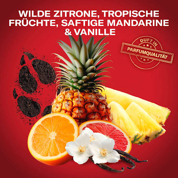 Deospray Wolfthorn Old Spice