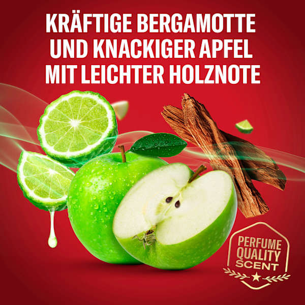 Duschgel Rockstar 3in1 Old Spice