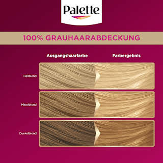 Haarfarbe 10-0/200 Helles Naturblond Palette Intensive Color Creme