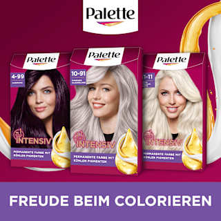 Haarfarbe 10-91/240 Pudriges Silberblond Palette Intensive Color Creme