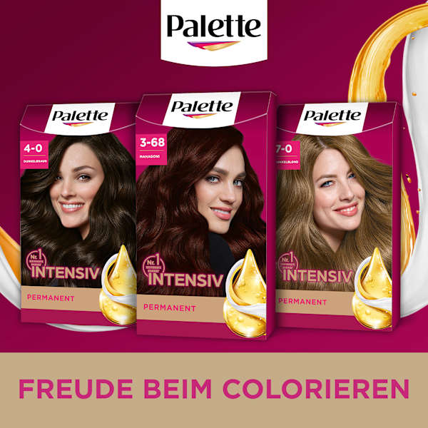 Haarfarbe 3-68/878 Mahagoni Palette Intensive Color Creme
