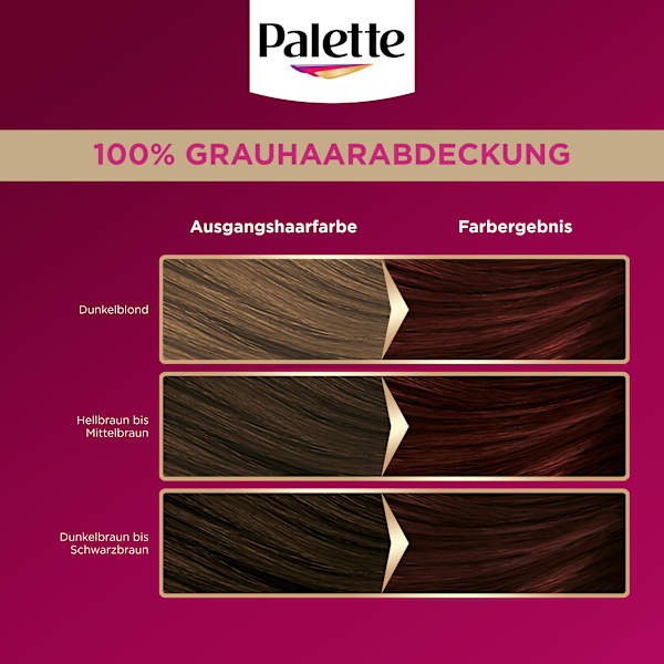 Haarfarbe 3-68/878 Mahagoni Palette Intensive Color Creme